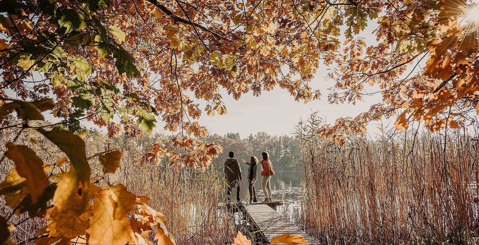 Spreewald im Herbst