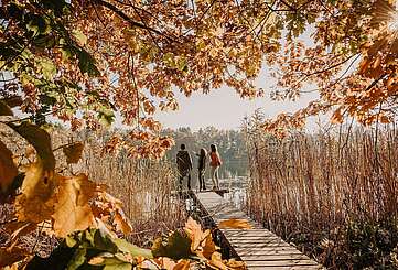 Spreewald im Herbst
