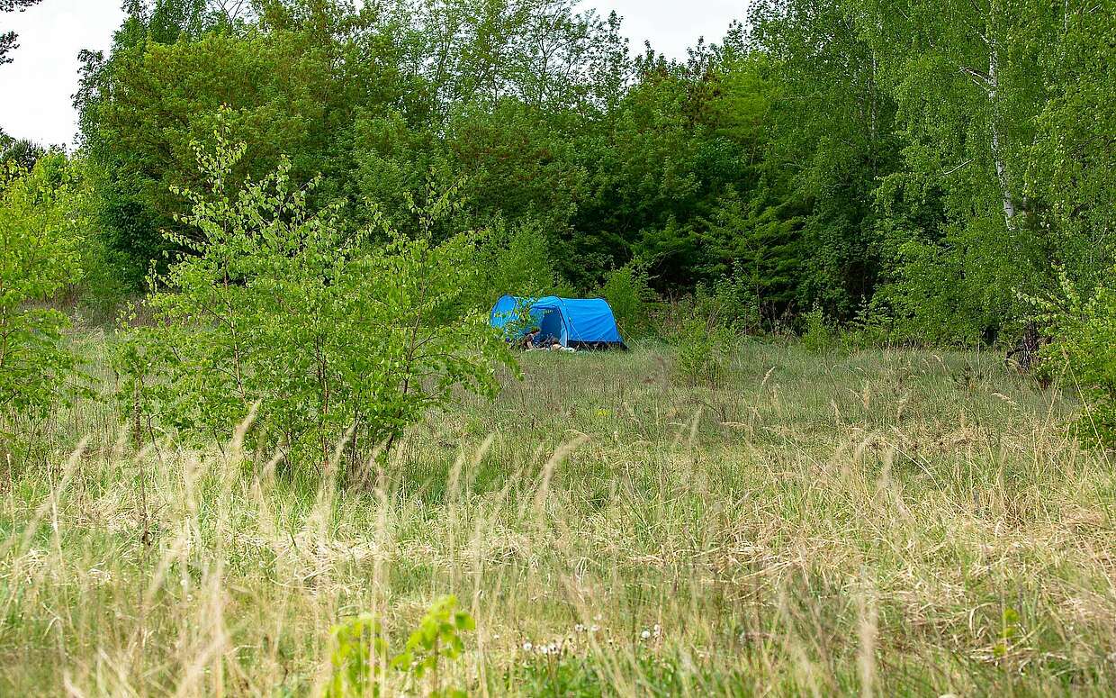 Zelt auf dem Campingplatz Wilde Heimat