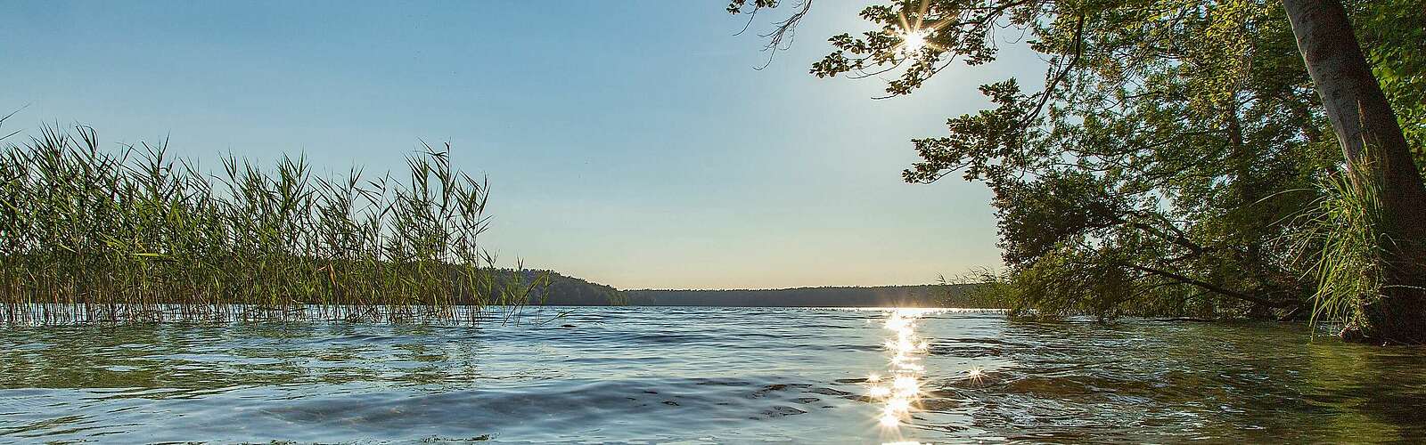Blick auf den Stechlinsee,
            
        
                Foto: TMB Tourismus-Marketing Brandenburg GmbH/Steffen Lehmann