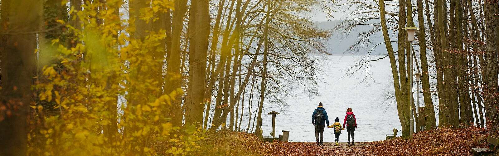 Familienwanderung am Stechlinsee,
            
        
                
                
                    Foto: Julia Nimke