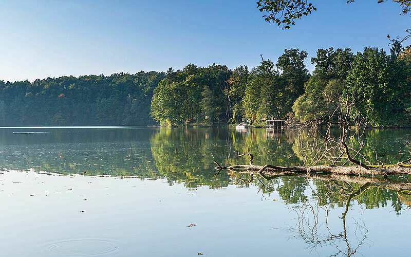 



        
            Wirchensee im Naturpark Schlaubetal,
        
    

        Foto: Fotograf / Lizenz - Media Import/Steffen Lehmann
    