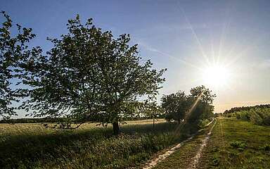 Wandern zwischen Feldern
