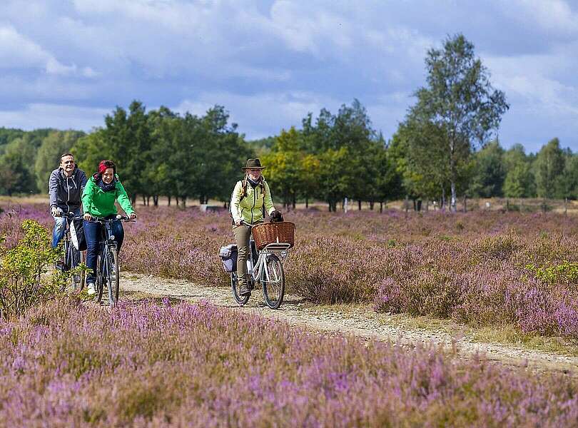 Radler in der Niederlausitzer Heide