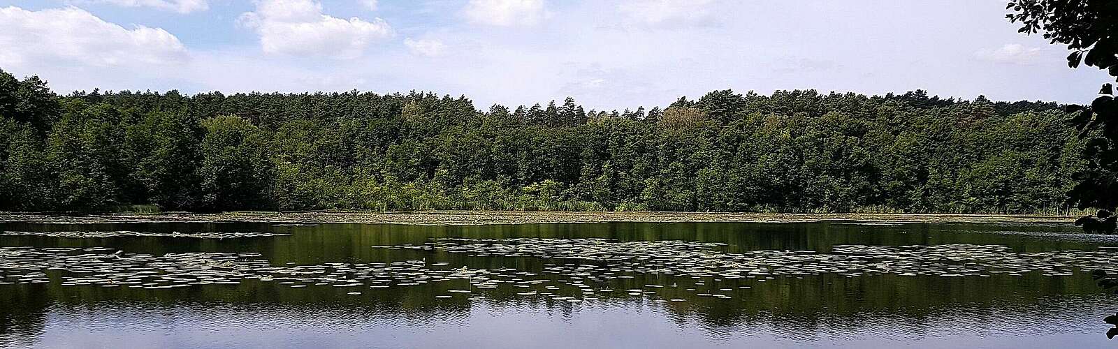 Strehlesee im Naturpark Barnim,
            
        
                Foto: TMB Tourismus-Marketing Brandenburg GmbH/Frank Meyer