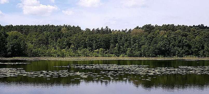 Wandern im Naturpark Barnim
