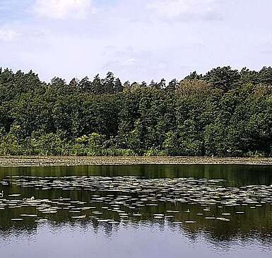 Wandern im Naturpark Barnim