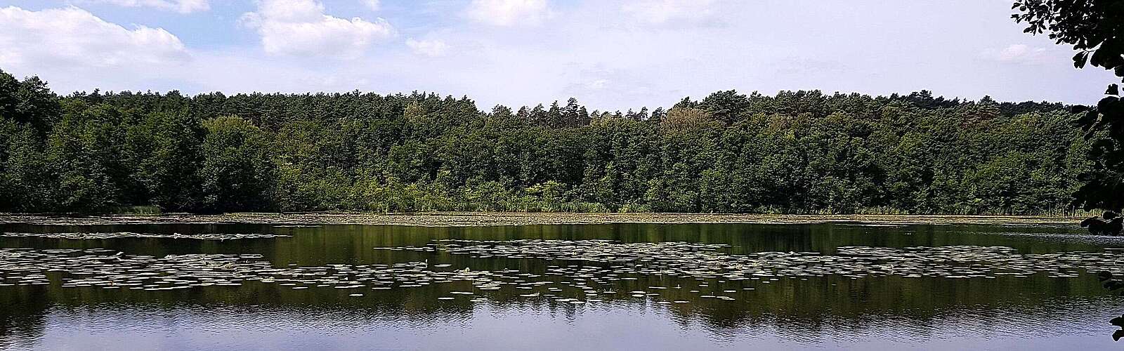 Strehlesee im Naturpark Barnim