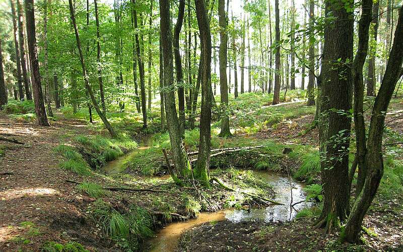 



    
        
                Burgenwanderweg im Naturpark Hoher Fläming,
            
        
                
                
                    Foto: Kein Urheber bekannt
                
            
    

