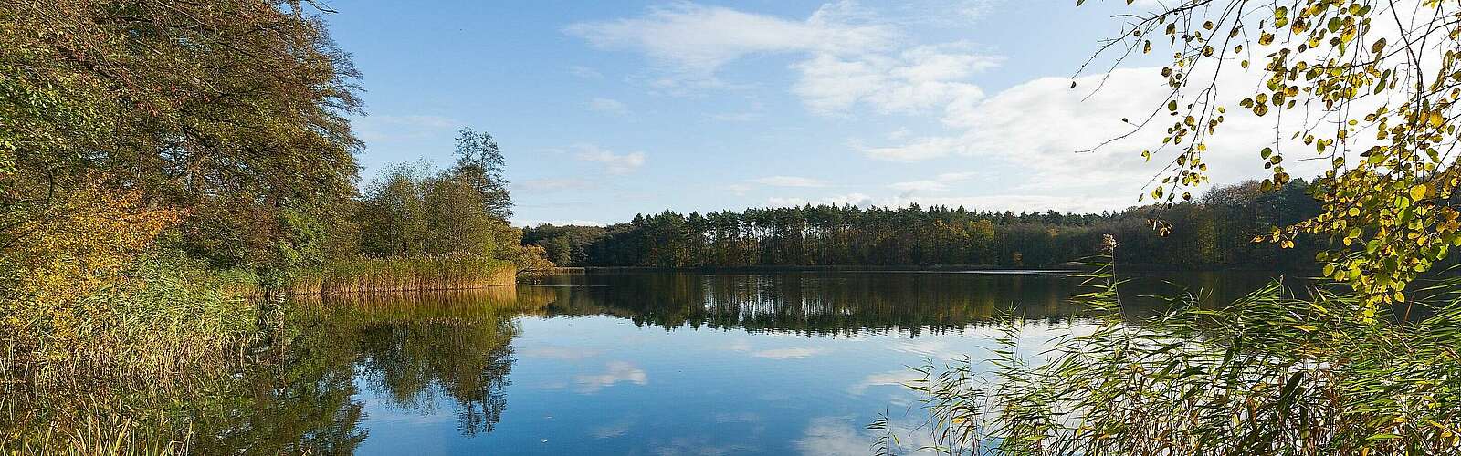 Herbst am Hellsee,
            
        
                Foto: TMB Tourismus-Marketing Brandenburg GmbH/Steffen Lehmann