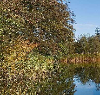 Herbst am Hellsee