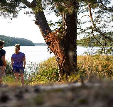 Wanderer am Roofensee