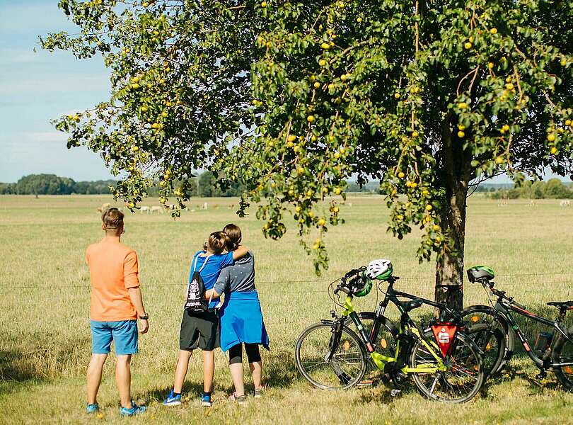 Familie bei Pause von Radtour