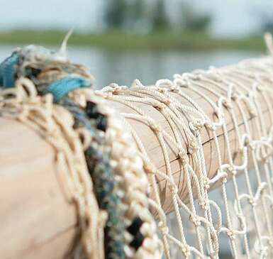 Fischer Schröder: Frische Fische aus dem Havelland