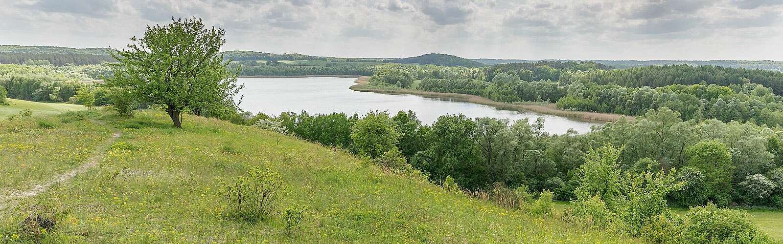 Landschaft in der Schorfheide,
            
        
                Foto: TMB Tourismus-Marketing Brandenburg GmbH/Steffen Lehmann