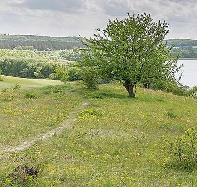 Landschaft in der Schorfheide