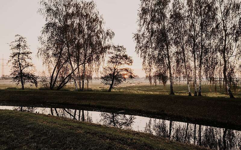 Spreewald im Herbst