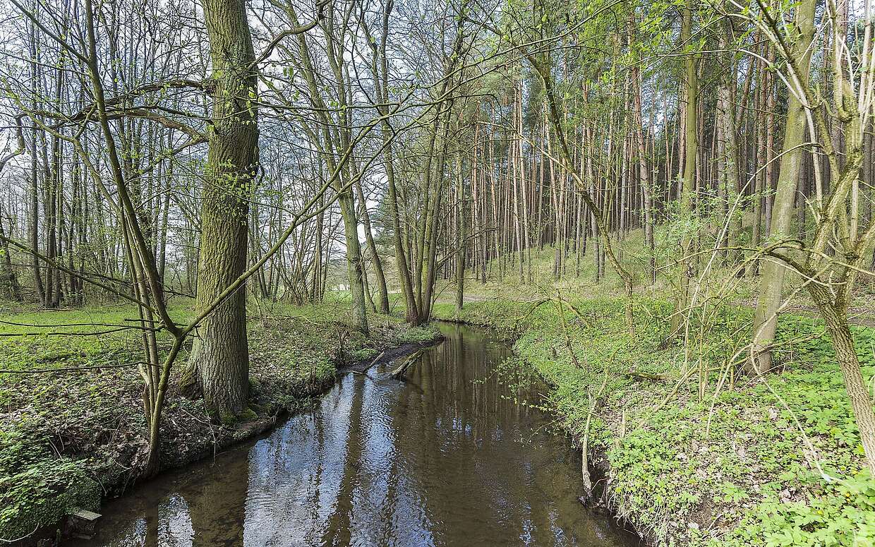 Die Plane im Naturpark Hoher Fläming