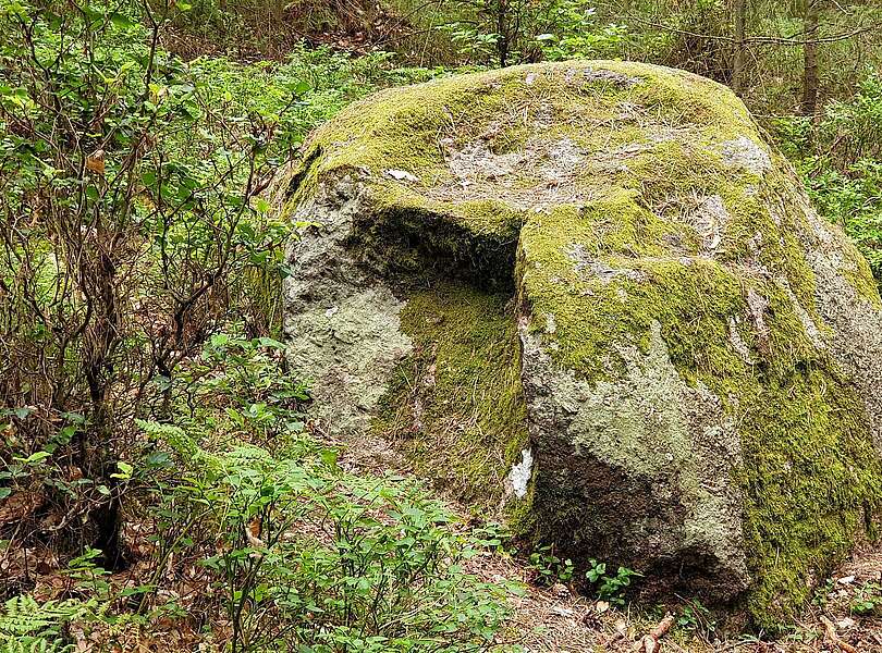 Findlingswanderweg im Hohen Fläming