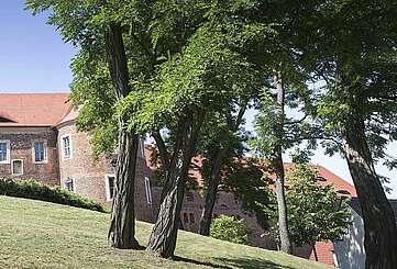 Bad Belzig