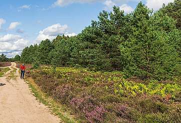 Radfahren