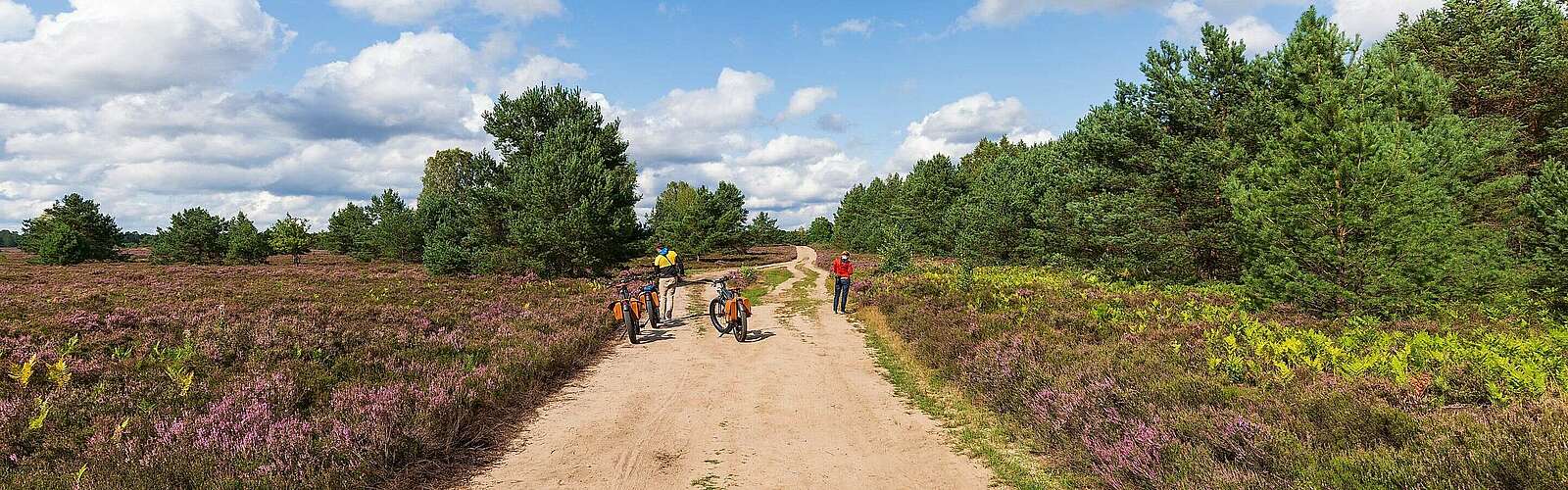 Mit dem Fahrrad durch die Kyritz-Ruppiner Heide,
            
        
                Foto: TMB Tourismus-Marketing Brandenburg GmbH/Steffen Lehmann