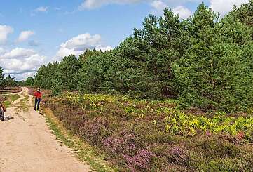 Mit dem Fahrrad durch die Kyritz-Ruppiner Heide