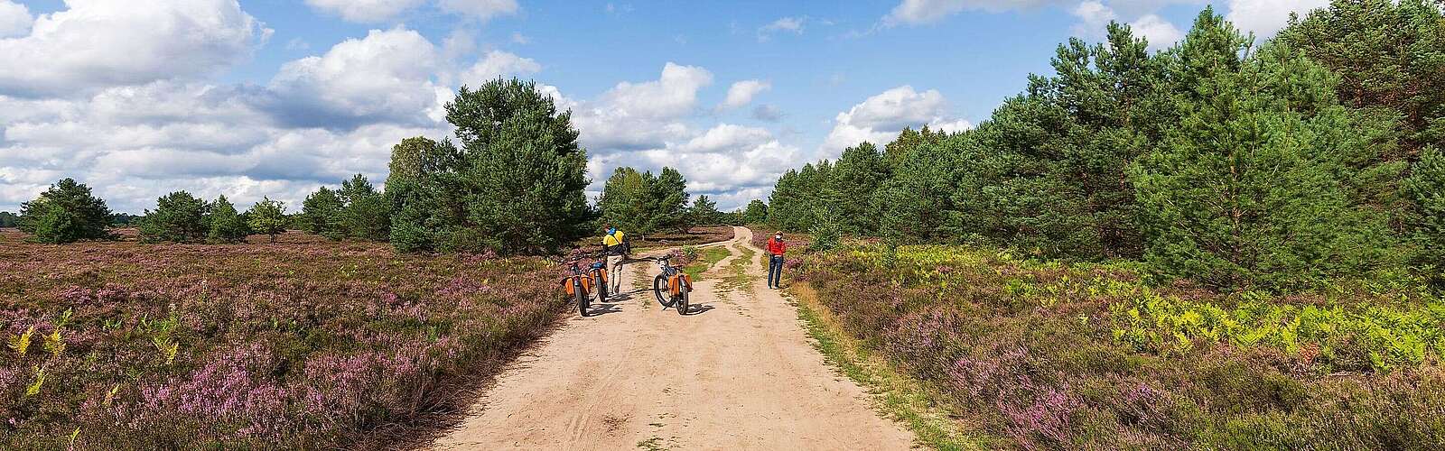 Mit dem Fahrrad durch die Kyritz-Ruppiner Heide