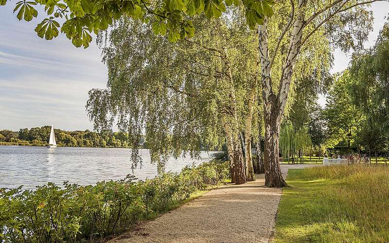 



    
        
                Abschnitt des Havelradwegs,
            
        
                Foto: visitBerlin/Dagmar Schwelle
            
    
