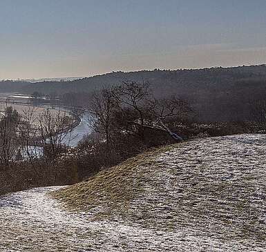 Blick in den Nationalpark Unteres Odertal