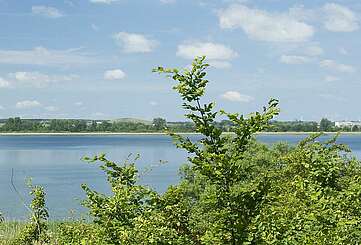 Uckerseen