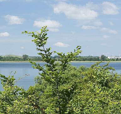 Blick auf die Uckerseen