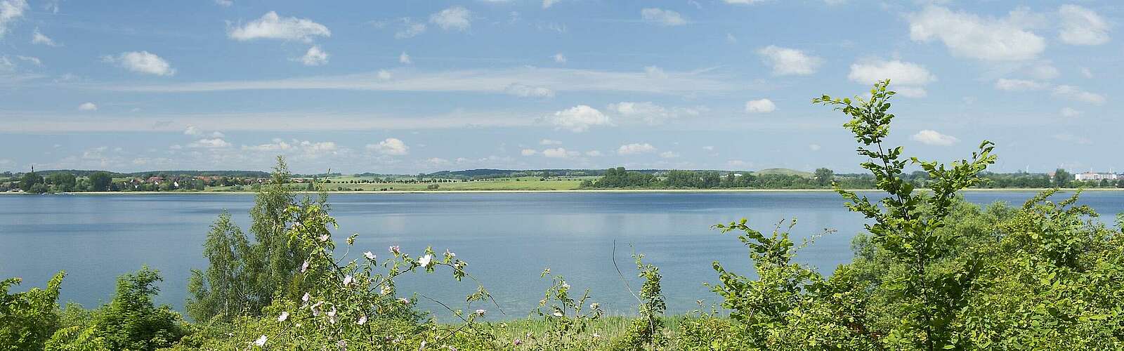Blick auf die Uckerseen,
            
        
                
                
                    Foto: Klaus-Peter Kappest