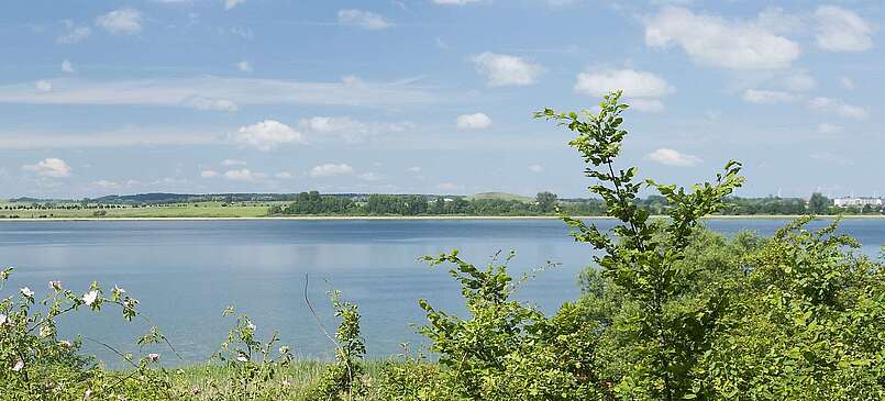 Blick auf die Uckerseen