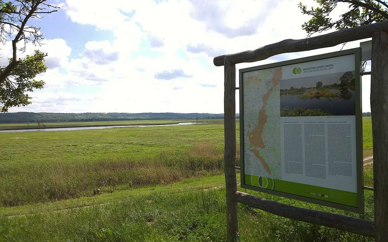 Lesestoff zum Nationalpark Unteres Odertal am Oder-Neiße-Radweg.