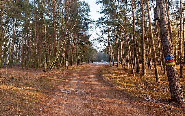 Wanderweg im Naturpark Nuthe-Nieplitz
