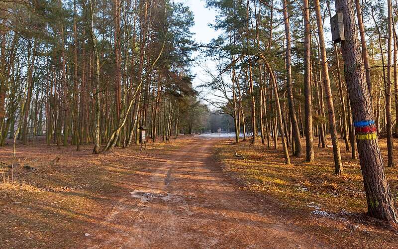 Wanderweg im Naturpark Nuthe-Nieplitz