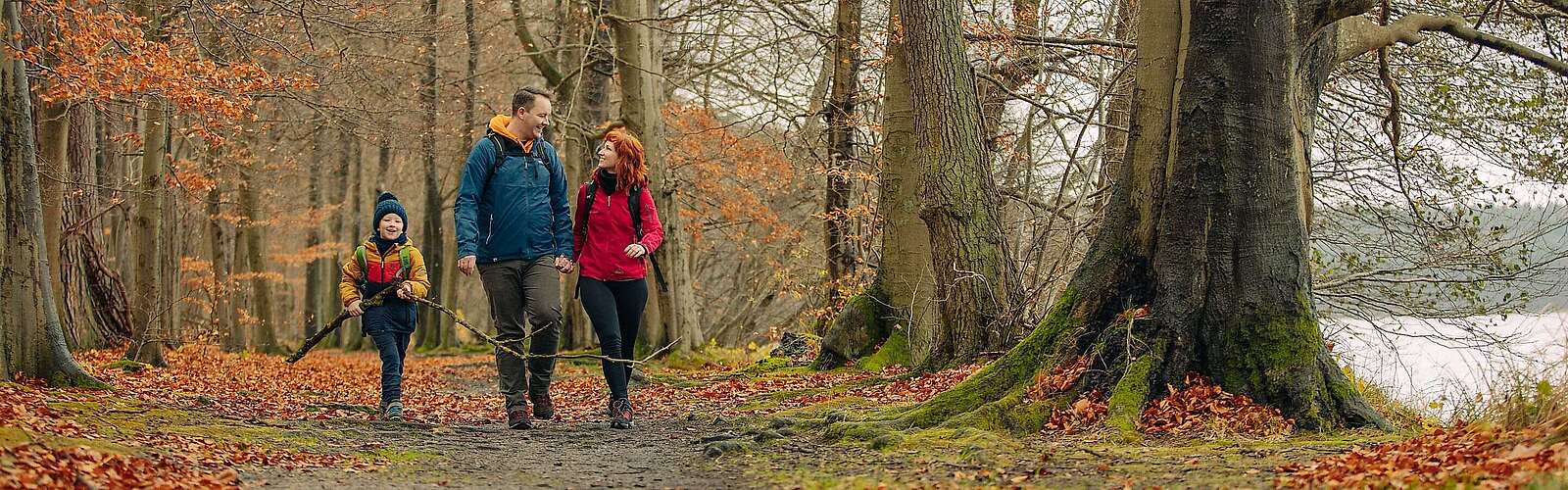 Familienwanderung am Stechlinsee