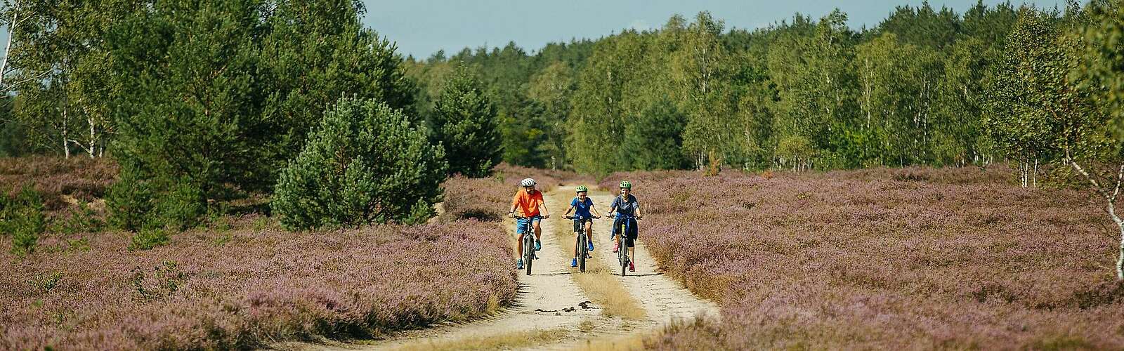 Familie auf Radtour durch Heidelandschaft,
            
        
                Foto: TMB Tourismus-Marketing Brandenburg GmbH/Julia Nimke