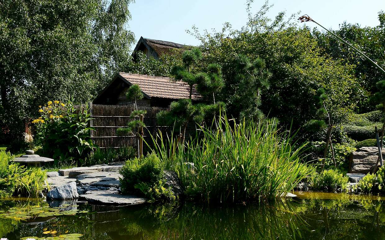 Entspannung pur am Sommerteich, in dem die Kois schwimmen.