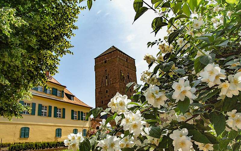 



    
        
                Alte Bischofsburg Wittstock/Dosse,
            
        
                Foto: TMB Tourismus-Marketing Brandenburg GmbH/Steffen Lehmann
            
    
