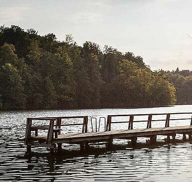 Eine Wanderung durch das Biesenthal entlang des 66-Seen-Wegs