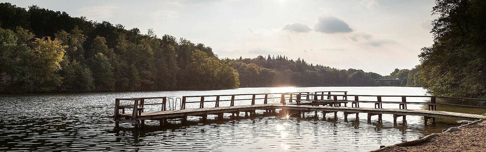 Am Strand des Obersees,
            
        
                Foto: TMB Tourismus-Marketing Brandenburg GmbH/Steffen Lehmann