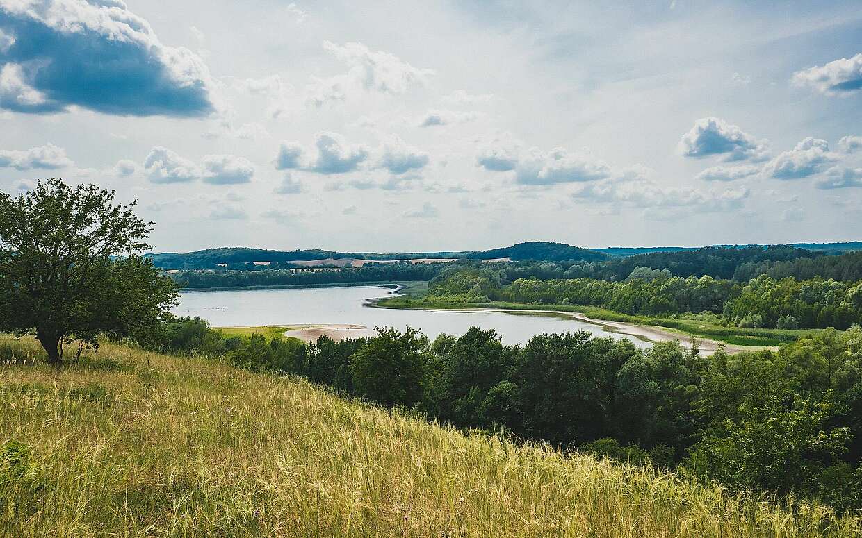 Auf dem Rummelsberg