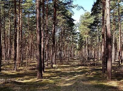 Fontanewanderweg im Dahme-Seenland