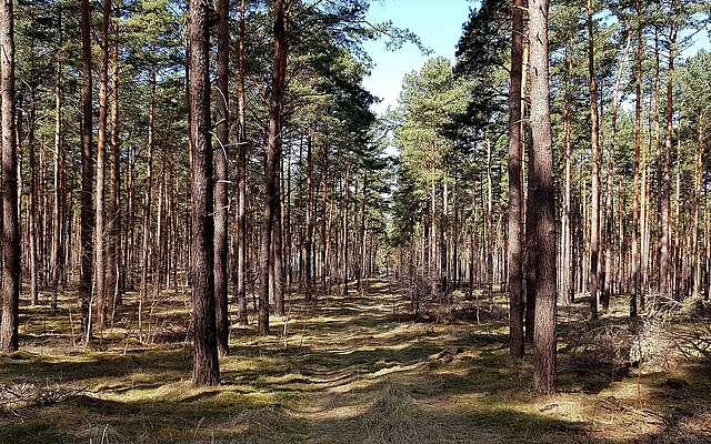 Fontanewanderweg im Dahme-Seenland