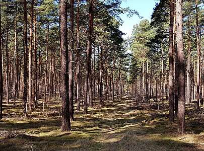 Fontanewanderweg im Dahme-Seenland