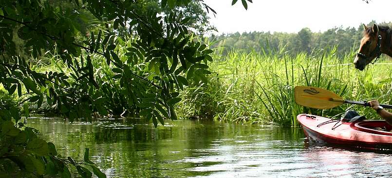 Kanuwanderer auf dem Rheinsberger Rhin