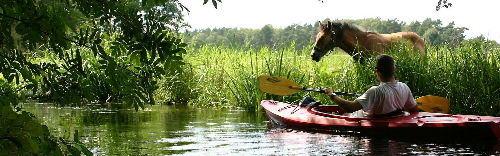 Kanuwanderer auf dem Rheinsberger Rhin,
            
        
                Foto: TMB Tourismus-Marketing Brandenburg GmbH/Madlen Wetzel