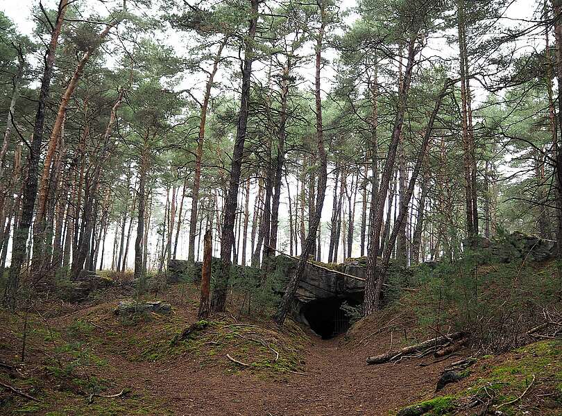 Höhleneingang Saarmunder Wald